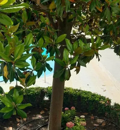 Aparthotel Apartcomplex Splendid Saints Constantine and Helena