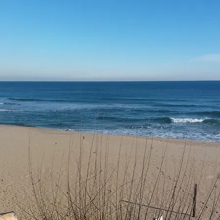 Apartcomplex Splendid Apartmanhotel 3*